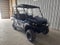 2026 Kawasaki MULE PRO-FXT 1000 LE Base