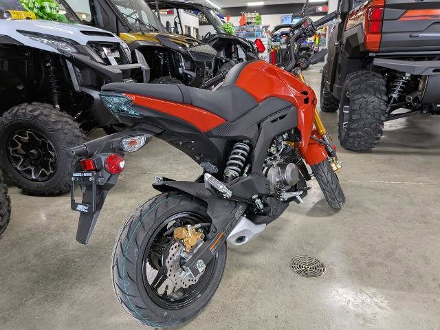 2025 Kawasaki Z125 Pro Base