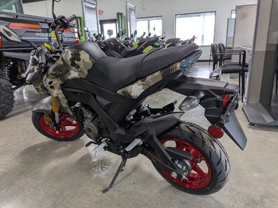 2025 Kawasaki Z125 Pro Base