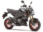 2024 Kawasaki Z125 Pro Base