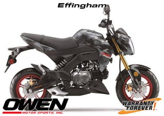 2024 Kawasaki Z125 Pro Base