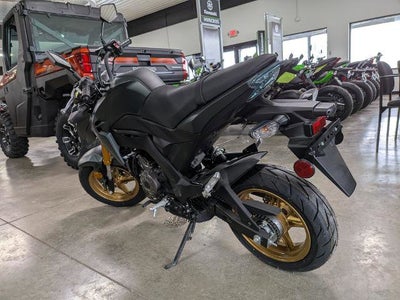 2025 Kawasaki Z125 Pro Base