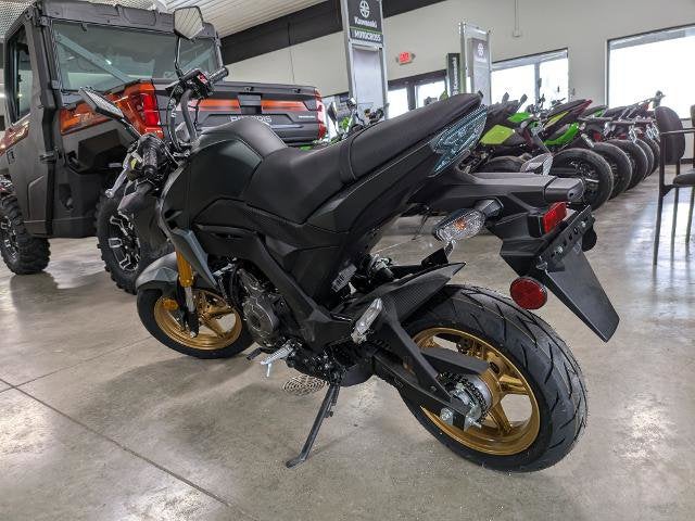 2025 Kawasaki Z125 Pro Base
