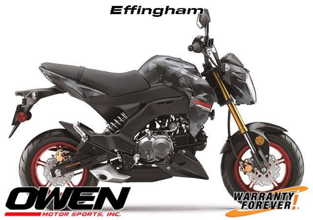 2024 Kawasaki Z125 Pro Base