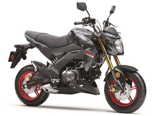 2024 Kawasaki Z125 Pro Base