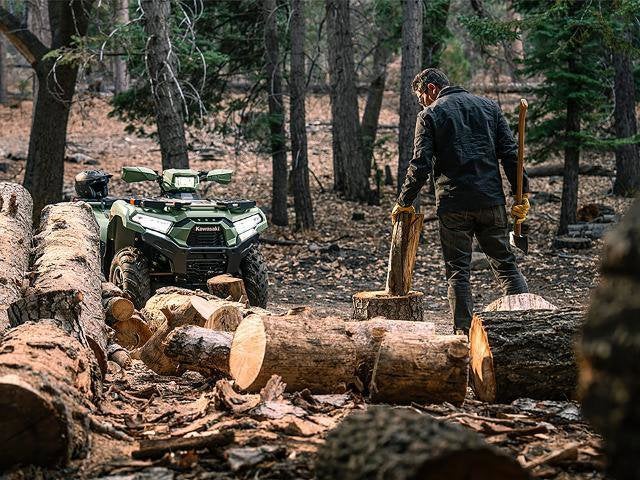 2025 Kawasaki Brute Force 750 LE EPS Base