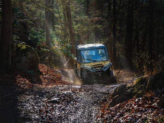 2025 Kawasaki RIDGE Limited HVAC Base