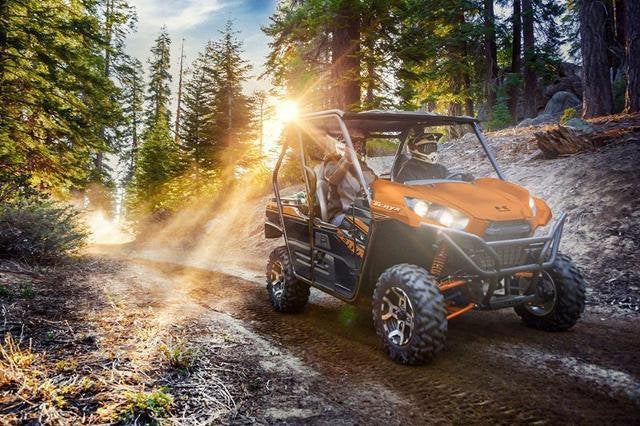 2019 Kawasaki Teryx LE Base