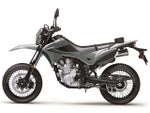 2025 Kawasaki KLX 300SM Base