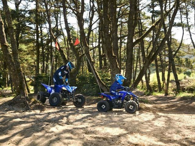 2026 Yamaha YFZ50 Base