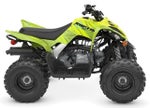2026 Yamaha Raptor 110 Base