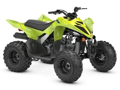 2026 Yamaha Raptor 110 Base