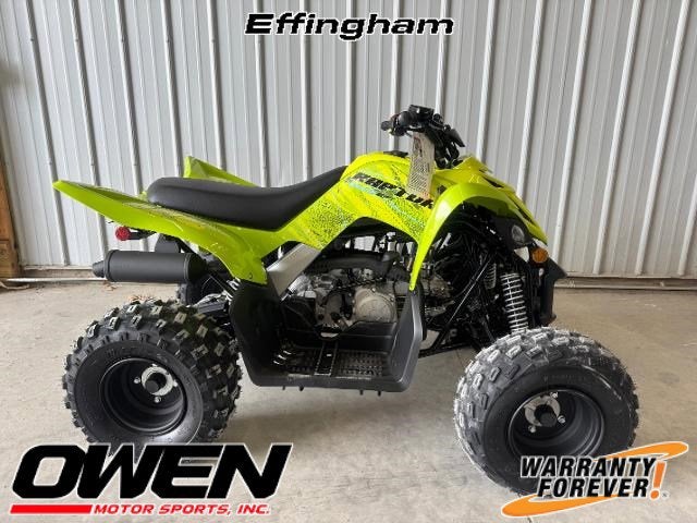 2026 Yamaha Raptor 110 Base