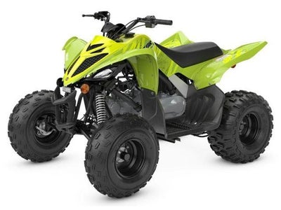 2026 Yamaha Raptor 110 Base