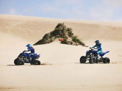 2026 Yamaha Raptor 110 Base