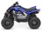 2026 Yamaha Raptor 110 Base