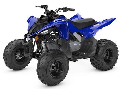 2026 Yamaha Raptor 110 Base