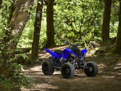 2026 Yamaha Raptor 110 Base