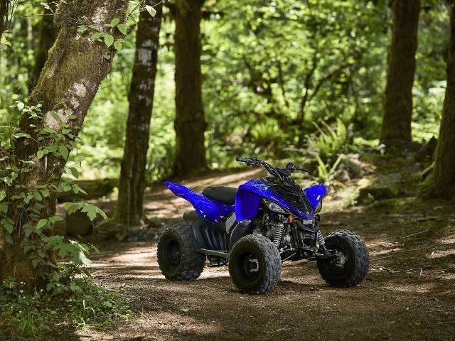 2026 Yamaha Raptor 110 Base
