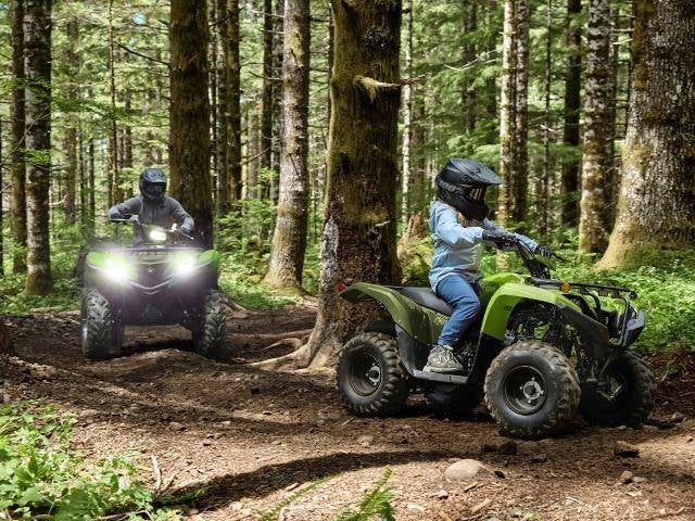 2026 Yamaha Grizzly 110 Base