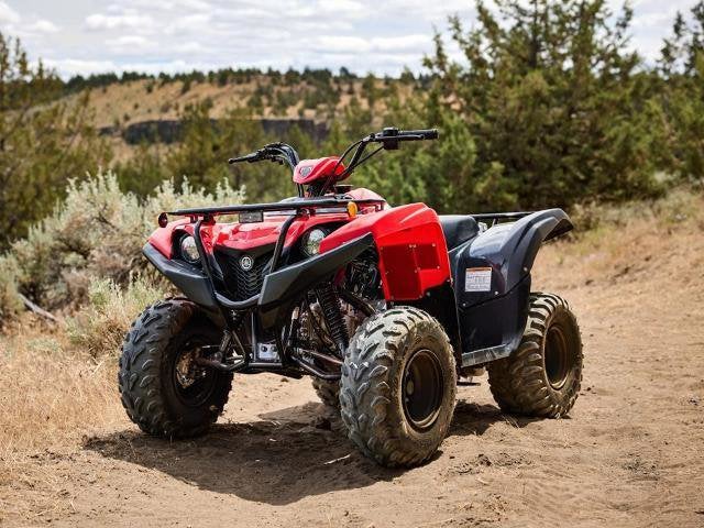 2025 Yamaha Grizzly 110 Base