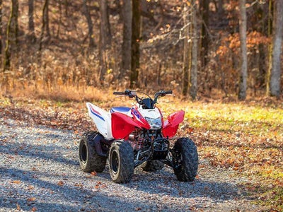 2026 Honda Powersport TRX250X Base