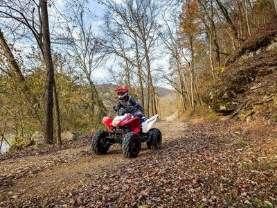 2026 Honda Powersport TRX250X Base