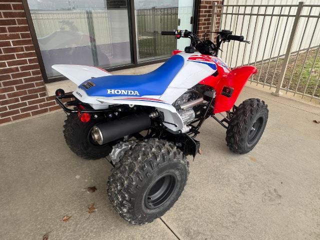 2026 Honda Powersport TRX250X Base