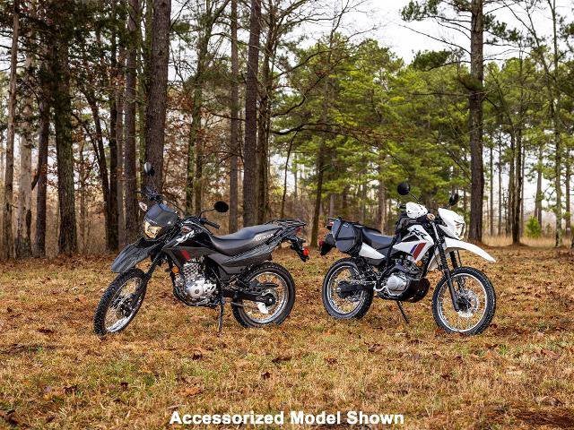 2025 Honda Powersport XR150L Base