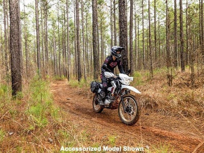 2025 Honda Powersport XR150L Base