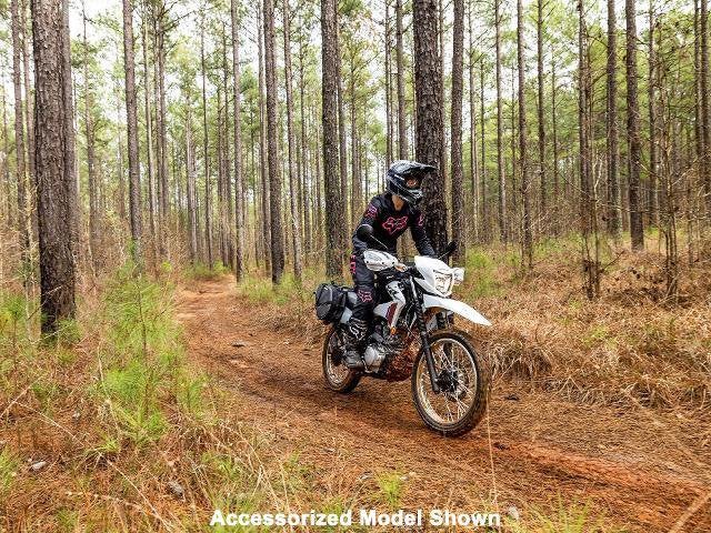 2025 Honda Powersport XR150L Base