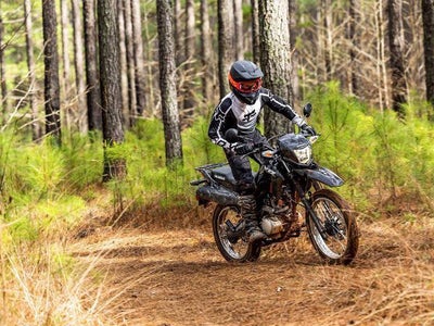2025 Honda Powersport XR150L Base