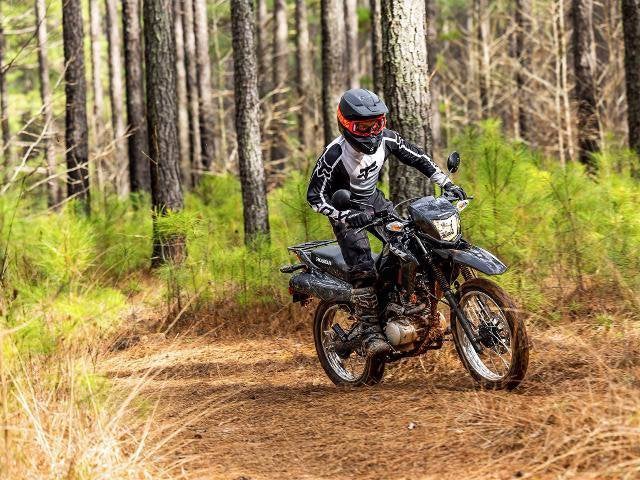 2025 Honda Powersport XR150L Base