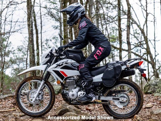 2025 Honda Powersport XR150L Base