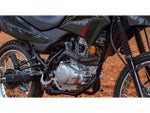 2025 Honda Powersport XR150L Base