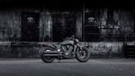 2018 Indian Motorcycle Scout® Bobber Jack Daniel's® Base