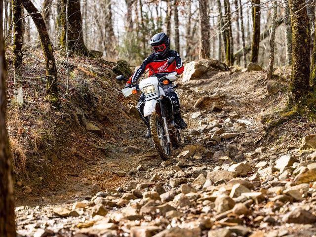 2025 Honda Powersport XR650L Base