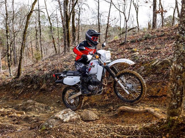 2025 Honda Powersport XR650L Base