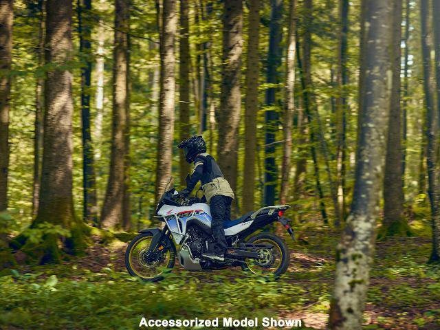 2025 Honda Powersport Transalp Base