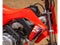 2026 Honda Powersport CRF110F Base