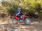 2025 Honda Powersport CRF125F - Big Wheel Base