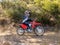 2026 Honda Powersport CRF125F - Big Wheel Base