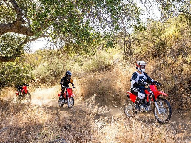 2026 Honda Powersport CRF125F - Big Wheel Base