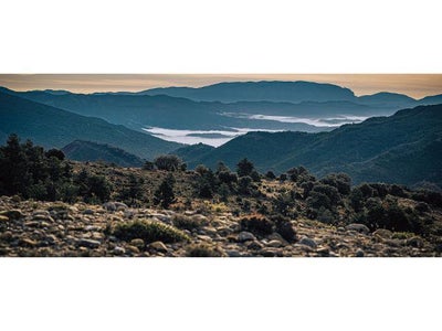 2026 Ktm 390 Adventure X Base