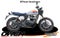 2025 Royal Enfield Bear 650 Base