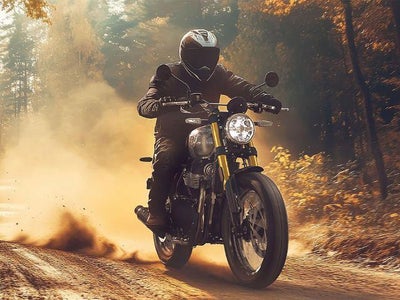 2025 Royal Enfield Bear 650 Base