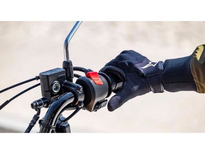 2025 Honda Powersport Trail125 Base