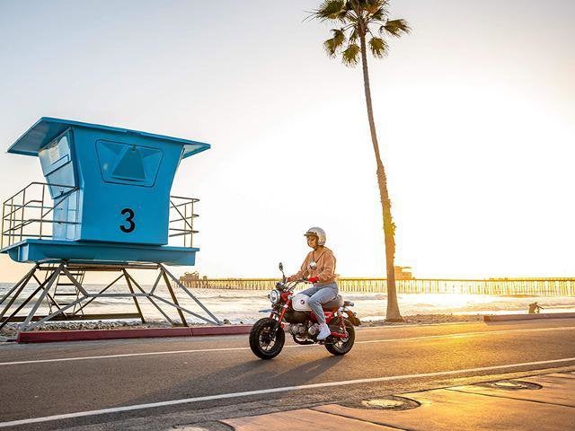 2025 Honda Powersport Monkey ABS Base