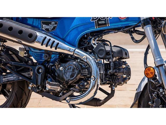 2025 Honda Powersport Dax 125 Base