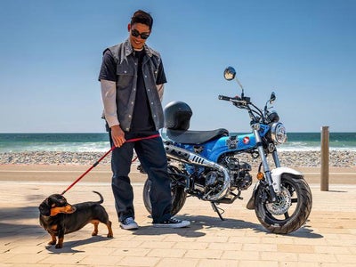 2025 Honda Powersport Dax 125 Base